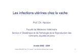 Prof. Ch. Hanzen - therioruminant.ulg.ac.be · Année 2008-2009 Prof. Ch. Hanzen - Les infections utérines chez la vache 2 Objectif général du chapitre Le chapitre définit les