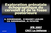 Exploration prénatale échographique du cervelet et de la ...pe.sfrnet.org/Data/ModuleConsultationPoster/pdf/2007/1/83333213-e... · Définir la Conduite à tenir devant une image