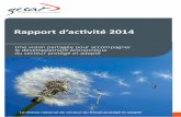 Rapport d’activité 2014 - reseau-gesat.com · Rapport d’activité 2014 Une vision partagée pour accompagner le développement économique ... Dans la continuité de 2013, qui