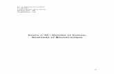 Cours n°10 : Hanche et Cuisse, Anatomie et …l2bichat2011-2012.weebly.com/uploads/9/1/3/7/9137624/_hanche.pdf · En position de hanche fléchie le muscle fessier n ... Chirurgicalement