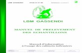 LBM GASSENDI 04 92 31 31 69 A - …laboratoiregassendi.com/assets/03.2018c2_enr05_a_manuel_de... · Recherche de BK dans les urines : sur la totalité de la miction de la nuit Mycoplasmes