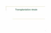 Transplantation rénale - nereja.free.frnereja.free.fr/files/transplantation_renale_nephropathies.pdf · Sur la liste d’attente de greffe en 2005 : 5646 patients ... de ; rejet
