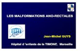 LES MALFORMATIONS ANO-RECTALES - SOFOP : … ano... · les malformations ano-rectales anatomie chirurgicale embryologie simplifiee prise en charge neonatale correction chirurgicale