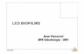 (Biofilm PACES Déf 2014 Valcarcel [Mode de …unsof.cerimes.fr/media/ressources-unsof/media/cours-montpellier/... · • Les biofilms sont des couches de micro-organismes associés