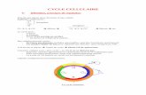 Le cycle cellulaire - djqmfrancois.free.frdjqmfrancois.free.fr/AuP1complet/wp-content/uploads/Le-cycle... · - Point de contrôle des lésions de l’ADN (une fois répliqué, vérification