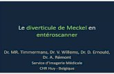 Le diverticule de Meckel en entéroscanner.ppt [Mode …pe.sfrnet.org/Data/ModuleConsultationPoster/pdf/2010/1/abcceb85-e... · L’entéroscanner Généralités (3) † L’intestin