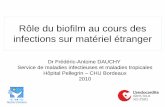 Rôle du biofilm au cours des infections sur matériel ... · Biofilms environnementaux : –Très complexes –Multi-espèces ... •Caractéristique des infections sur matériel