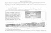 TP 2 : Les marges passivesmorandsvt.fr/TS/TP/tp2geol.pdf · II – Des marges passives dans les Alpes ! 1 – Des témoins d'un ancien océan ? – Repérer sur le schéma de la page