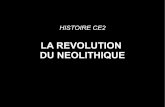 LA REVOLUTION DU NEOLITHIQUE - ac-grenoble.fr · DU NEOLITHIQUE. Néolithique signifie « âge de la pierre nouvelle » ou « âge de la pierre polie » ... Homo erectus Il succède