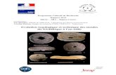 Evolution typologique et technique des meules du ... · Programme Collectif de Recherche Rapport 2014 DRAC – SRA – Région Centre Coordination : Luc Jaccottey, INRAP & UMR 6249