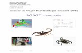 ROBOT Hexapode - rmoulin.eclair.ec-lyon.frrmoulin.eclair.ec-lyon.fr/cv/data/PPE_RobotHexapode_Dossier_TSSI.pdf · Sommaire A Introduction B Contenu de notre PPE (Plan détaillé page