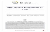Intelligence économique et PME - bdc.aege.frbdc.aege.fr/public/Intelligence_Economique_et_PME.pdf · L’intelligence économique reste encore en retrait dans les PME françaises