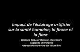 Impact de l’éclairage artificiel sur la santé humaine, la ...astrolab-parc-national-mont-megantic.org/files/ssparagraph/f... · • Les capacités de vision et d’orientation;