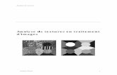 Analyse de textures en traitement d’imagesultra.sdk.free.fr/docs/Image-Processing/Courses/TRAITEMENT... · 6 Conclusion 19 . GB06 Isabelle Claude 3 Analyse de textures en traitement