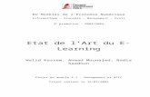 Projet e-learning - Laboratoire de Recherche en …mdr/E-learning3.doc  · Web viewL’outil informatique sert à de nouveaux usages éducatifs et permet d’adapter la formation