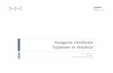 imagerie Cérébrale Hypnose Et Douleur - Medecine.ups · Imagerie cérébrale hypnose et douleur Toulouse, 21 janvier 2012 DU Hypnose Pr Pierre Payoux, Centre TEP, Inserm U 825