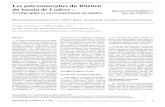 Les palynomorphes du Rhétien du bassin de Lodève : …geolfrance.brgm.fr/sites/default/files/upload/documents/gf1-3-2002.pdf · Samuel PIRIOU (2) Manuscrit déposé le 1 er septembre
