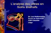 L’analyse des urines en Soins Intensifsdialyse-liege-chr.be/objets/lanalyse_des_urines_en_soins_intensifs... · L’analyse des urines en Soins Intensifs Dr. Luc Radermacher Service