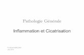 Pathologie Générale Inflammation et Cicatrisation · Généralités 2. Déroulement général des différentes étapes de Ia réaction inflammatoire 3. ... éliminer l'agent pathogène
