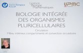 BIOLOGIE INTÉGRÉE DES ORGANISMES …application.sb-roscoff.fr/download/fr2424/enseignement/lbm/LBM2... · R = constante des gaz parfaits ... LES COMPARTIMENTS LIQUIDIENS DES ANIMAUX
