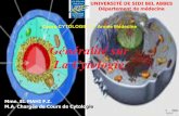 Généralité sur La Cytologie - univ.ency-education.comuniv.ency-education.com/uploads/1/3/1/0/13102001/cyto1an22-genera... · Historique (Invention de la théorie cellulaire) ...