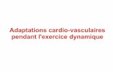 Adaptations cardio-vasculaires pendant l'exercice … · La réponse d'urgence de type « » décrite par W . Cannon, était considérée comme la en fonction de la situation. longtemps
