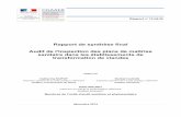 Rapport de synthèse final Audit de l'inspection des …agriculture.gouv.fr/sites/minagri/files/documents/pdf/CGAAER_12146... · RÉSUMÉ Le comité ministériel d'audit interne du