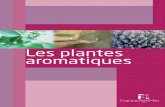 Les plantes aromatiques - FranceAgriMer Les... · Ces plantes rentrent, dans des proportions variables, ... utilisés pour leurs vertus stimulantes. Ces plantes peuvent alors s’employer