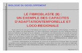 LE FIBROBLASTE (II) : UN EXEMPLE DES …db-gersite.com/BDDMOL/fibroblaste/fibrobl02.pdf · 1- Les fibroblastes secrètent une trame orientée entre les 2 groupes de cellules 2 - La