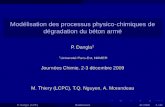 Modélisation des processus physico-chimiques de ...media.lcpc.fr/ext/pdf/sem/2009_jc/Session3/1_  · PDF fileModélisation de l’essai de diffusion stationnaire ... Développer/adapter
