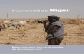 GroupedelaBADetle Niger - afdb.org · Groupe de la BAD et le Niger Ensemble pour gagner la bataille du développement. n ... PRESENTATION DESPROJETSPHARES 37 ... (CNSS) afaitl’objetd