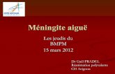 Méningite aiguë - MERMEDsmurbmpm.fr/wp-content/uploads/2011-2012/15-mars/meningite.pdf · Ponction lombaire ! Liquide trouble ou clair ! Biochimie : ! ... ATB avant PL si : ! Purpura
