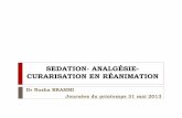 SEDATION- ANALGÉSIE- CURARISATION EN … · 375 patients de réanimation. VM>24h Evaluation: échelle RASS et Confusion Assessment ... •Métabolites indépendants de la fonction