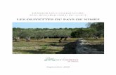 Les Olivettes du Pays de N mes - Le Site Remarquable … · patrimoine contemporain : peinture, sculpture de bois d’olivier, photographie, littérature, ... il est abordé comme