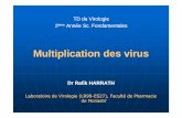 TD de Virologie ème Année Sc. Fondamentalesdata.over-blog-kiwi.com/0/44/46/93/201304/ob_5d561e6a8eb8b4f26f... · Virus à ADN: Se multiplient généralement dans le noyau grâce