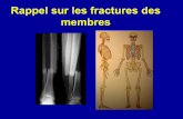 Rappel sur les fractures des membres - imedical.fr · Une fracture du fémur avec une cuisse qui présente une angulation ou un important chevauchement, ... circulaire pour fracture