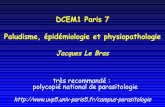 DCEM1 Paris 7 Paludisme, épidémiologie et …julioone.free.fr/palu epidemio physiopath.pdf · Neuropaludisme : hypothèse de la séquestration • cytoadhérence ischemie cérébrale