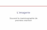 L’imagerie - CAMPUS NUMERIQUEScampus.cerimes.fr/media/disquemiroir/2015-06-09/UNF3Smiroir/mae/C… · IRM mammaire. IRM 1.5 Tesla. Antenne de surface dédiée. IRM : protocole •Séquence