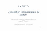 La BPCO L’éducation thérapeutique du patientE9e%20formation/2009/... · L‘éducation thérapeutique est à présent formalisée dans le service ... EDUCATION THERAPEUTIQUE SYNTHESE