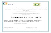 rapport De Stage - Cnps.ci de stage Techniciens/IMPACT DU LOGICI  RAPPORT DE STAGE THEME : ... pour