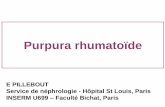 Néphropathie du purpura rhumatoïde : éléments du …soc-nephrologie.org/PDF/epart/assoc/CJN/2013_aix/13-pillebout.pdf · Henri- Mondor Néphrologie Pr Cacoub La Pitié Salpétrière
