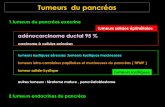 Tumeurs du pancréasonclepaul.net/wp-content/uploads/2011/07/ADK-pancréas-DR-2015.pdf · Tumeurs du pancréas 1.tumeurs du pancréas exocrine 2.tumeurs endocrines du pancréas adénocarcinome