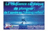 Lafréquence cardiaque du plongeur - FFESSMestapnee.free.fr/metz2008/Diving-Reflex.pdf · fc au repos fc à l'immersion Phoque gris 120 bpm 10 bpm Paramètre facilement mesurable.