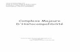 Complexe Majeure D'Histocompatibilitéclement.ad.free.fr/fac/immuno/roneo.cours2.cmh.pdf · A- CMH = Comlexe Majeur d'Histocompatibilité Complexe: il s'agit d'un ensemble de gènes
