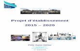 Projet d’établissement 2015 – 2020 - EHPADresidence-sthelier.fr/RESIDENCE/media/telechargements/Projet-d... · Hôpital Numérique dans des domaines stratégiques non encore