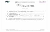 OLIDITE - catalogue-construction-bois.frcatalogue-construction-bois.fr/wp-content/uploads/2017/05/Solidit... · HYPOTHESES DE CHARGEMENT ... Détermination des coefficients de pression
