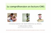 La compréhension en lecture CM1 - IEN Boulogne 2ienboulogne2.etab.ac-lille.fr/files/2012/12/diapo-site.pdf · ponctuation et des mots de liaison, ... (implicites) - Dans un récit