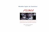 PUMA - AGILE - Projets et systèmes d'Informations · L’Agilité moteur du progrès ... prenantes : représentants des MOA et des MOE ainsi que les éventuels Experts et des utilisateurs
