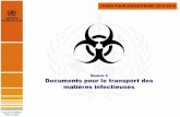 module 5 Documents Pour Le Transport Des Matières - … · COURS POUR EXPEDITEURS 2015-2016 Capacités mondiales, alerte et action Aperçu Lettre de transport aérien (LTA, air waybill)
