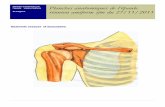 l’épaule réunion amiform Planches anatomiques de … · Dentelé antérieur (ex grand dentelé) Dermatomes du membre supérieur ... Fixateur de l’omoplate contre le grill costal